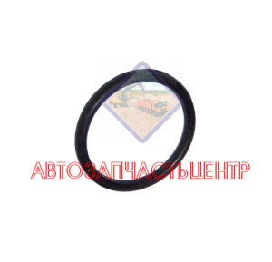 Кольцо форсунки 062147 01 4110000054005